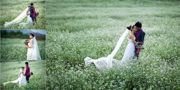 Các cặp đôi lên Mộc Châu chụp ảnh cưới mùa hoa cải